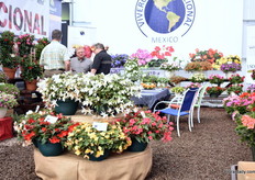 The booth of Vivero International.