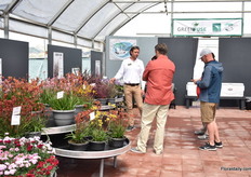 Jim Devereux of Greenfuse talking with visitors.