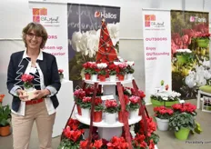 Florence Vaux of Morel Diffusion, a part of Ball Ingenuity, holding the new Smartiz Fantasia red. This year, they are looking ahead for Christmas. According to Vaux, this new red small cyclamen variety will fit the demands well of the Millennials that are living in a small apartment.