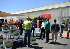 Inside and out, everywhere a sea of colors of the varieties from the breeders of Ball.