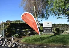 Dümmen Orange was presenting its products at Edna Valley in San Luis Obispo.
