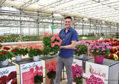 Chris Berg with the Two-in-One interspecific geranium of Elsner PAC. Next to Westhoff, Berg also represents PAC. This Two-in-One was introduced about two years ago and is one of Berg's favourites. “It is one of the most heat tolerant interspecific geraniums, it flowers long, has a spreading habit and brilliant color. On the right, a new introduction of Elsner PAC; Pinkerbell. This geranium does not need any cooling and flowers all summer long. According to Berg, it is a big hit at the CAST.
