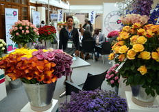 The Kenya Flower Council, among others represented by Loise Mukami. In the back we can see Jane Ngige, former president of KFC (occupying this chair for no less than 13.5 years).