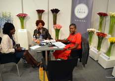 Afri Calla is, together with Blooming Innovations, a Dutch owned (Geert and Harry Rooijakkers) flower enterprise.