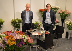 Gerard Termeulen and Tjerk Vening from Dutch breeder Konst Alstroemeria.