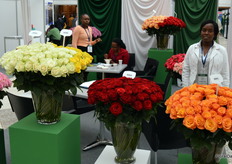 Felicity is representing Everest Roses, a 65 hectare measuring flower farm located at the foot of Mount Kenya.