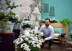 Erwin Giezen of MNP Flowers showcasing the new Senetti White. According to Giezen, this is the first white Pericallis variety available with very abundant flowering. It has white flower petals and a purple-blue center and dark leaves. At the IPM 2018, this variety won the 1st prize in the Neuheiten-schaufester contest.