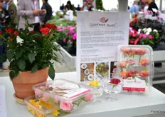 Gourmet Roses of Roses Forever are now also grown by a Dutch cut rose grower; Rodewijk Rozen. These roses are edible and the idea is to export them in a box of 12 roses.