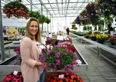 Nomi Hen of Cohen holding one of their Dianthus Divine varieties for basket use (Dianthus Divine Basket Purple Shower PG-72). These Dianthus are bred by Breier and the 30 varieties in the series are divided in four groups; basket, classic, compact and special range. According to Hen, the France and Italy is a big market for Dianthus Divine. In order to provide the market with the right varieties, Cohen conducts the trials at an Italian growers. The Dianthus Divine is available for Europe, UK and Canada.