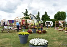 In the show garden of Royal Van Zanten, varieties of the participants were on display.
