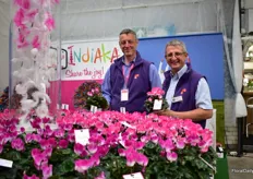 Hein de Smet and Guy Schertzer of Morel Diffusion presenting Indiaka. It is a heat resistant cyclamen with intense colour. The white base and vibrant colour at the tip of the flower makes this variety stand out. On top of that, it is said to be easy to care for, exceptionally hardy outdoors, and one of the most beautiful colourful flowers in autumn.