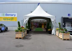 Benary and Volmary presented their products at the site of Kebol in the Aalsmeer region.