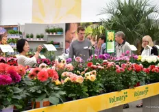 Visitors looking and taking pictures of the Volmary varieties.
