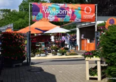 At Dümmen Orange in Germany. The difference between this FlowerTrials location and the one in the Netherlands is the trial garden they have. Come and take a look.