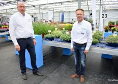 Here we got Evert-Jan Luijtjes and Eric van Kempen who are showing us there Sedums and Grasses.