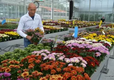 Mark Boender, breeder at Armada, presenting a new line mini chrysantemums called Nora. These varieties are especially popular in Asia.