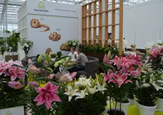 Van den Bos FlowerBulbs, who also moved to the World Horti Center