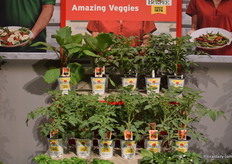 Burpee’s Amazing Veggies line.