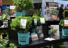 The Bushel and Berry line of Star Roses and Plants.