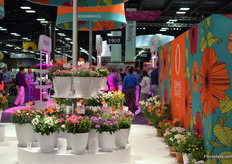 The booth of Dümmen Orange.