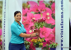 Waleska Torres-Toro holding a VF Ruby variety.