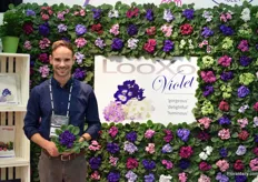 Lawrence Holtkamp of Optimara Group holding a Looxo Violet variety.