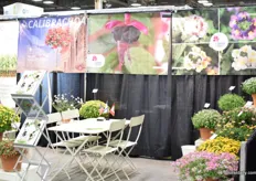 The booth of Cohen Propagation Nurseries.