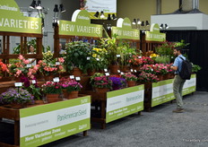 The New Varieties zone with varieties of PanAmerican Seed.