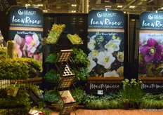 The booth of Skagit Horticulture.