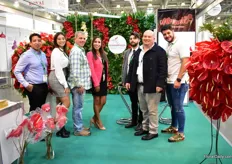 Firt time exhibiting company Agromiranda, from Venezuela. They grow anthurium and lilies and currently sell to the US, but want to start exporting to Russia as well, through direct flights from Venezuela to Russia. The large size of the flowers is attracting the attention of the Russian visitors. More on this company and their activities later in FloralDaily.