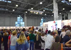 Florists' shows attracting lots of attention.
