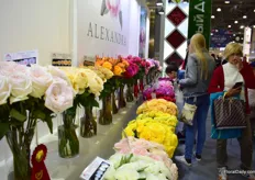 Alexandra Farms presented its garden roses in order of color.