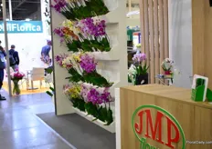 The orchids of JMP Flowers.