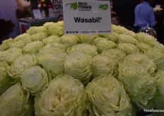 It looks hot! This is the Wasabi from Eco Roses.