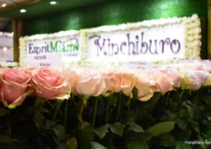 The roses of Minchiburo.