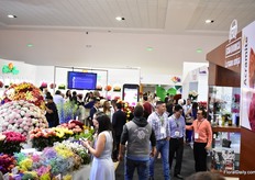 Exhibition floor. 