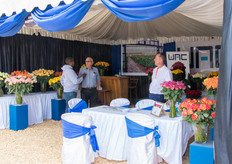 WAC International showcasing their rose varieties.