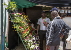 Next to flowers, also plants were on dislay at the fair.