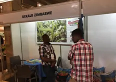 Dekalb Zimbabwe