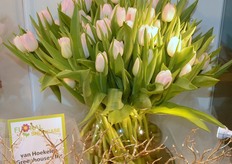 Van Hoekelen Greenhouses, Inc. - http://www.vhgreenhouses.com