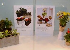 Micky's Minis - http://www.mickysminis.com