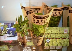 Rocket Farms Inc. - http://www.rocketfarms.com