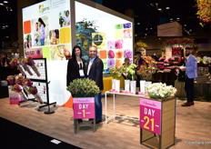 Dyanna Paz and Carks Oramas (chosen as PMA 2018 Floral Marketer of the Year) of Gems Group showing the Charmelia. On the left the Charmelia on day 1,  on the right on day 21 and in the middle the new colors that they are trailing at the moment. It is a new type of flower, bred by Royal van Zanten and grown by Jardines de los Andes in Colombia. According to Oramas, the flower works well as straight bunch and in bouquets. Gems is supplying Charmelia in the US for three years now and the demand is increasing. Together with another US company, they are the only two supplying the Charmelia. More on this later in FloralDaily.