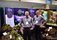 Nick Rhindress and Chris Jacobs of One Floral mainly grow hydrangeas in the US and Canada on a total acreage of 60 acre. According to Jacobs, the demand is on the rise and this is mainly due to the improvements in the varieties. They work with genetics of Danish breeder Schroll and as they hydrangea assortment used to consist of only two varieties there are many more now and with a longer shelf life. From summer till October, the plants flower with color changing blooms.