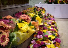 The gerbera bouquet line of Hollandia Greenhouses. 