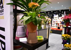 The newest addition is the Neoterra Upstyle cover. It is a plastic pot with a clay appearance. It is available in 4 different sizes and 5 colors. It will be available in January 2019. 