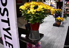 Last year, they introduced the Echo Upstyle Cover. This pot looks like a Ceramic pot, byt is plastic as well. 