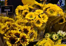 Jolo Flowers's journey started 20 years ago, when they onle grew sunflowers in Florida. 