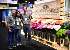Juan Carlos Alvarez, Cristy Herrera and Santiago Lora of Falcon Farms. In Ecuador, they grow roses and in Colombia several other flowers like pompom, disbud and mini carnations. Their main market is the US and Canada where they supply supermarkets and wholesalers. 
