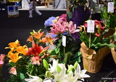 Lilies at Bay Flowers.